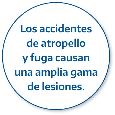Circulo Atropello Fuga Espanol