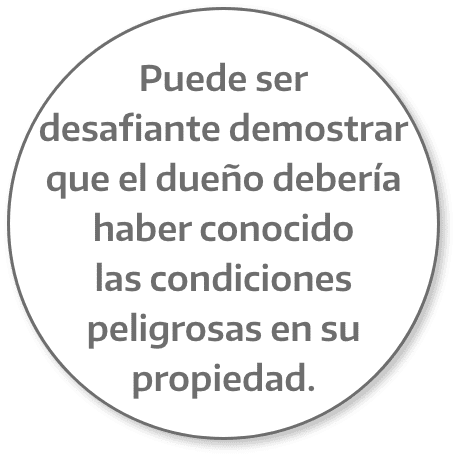 Circulo Resbalon Caida Espanol